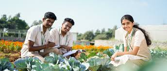 DIPLOMA IN HORTICULTURE